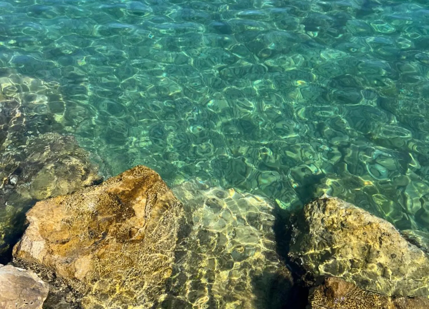 Casa Connie Apartments Valbandon Croatia